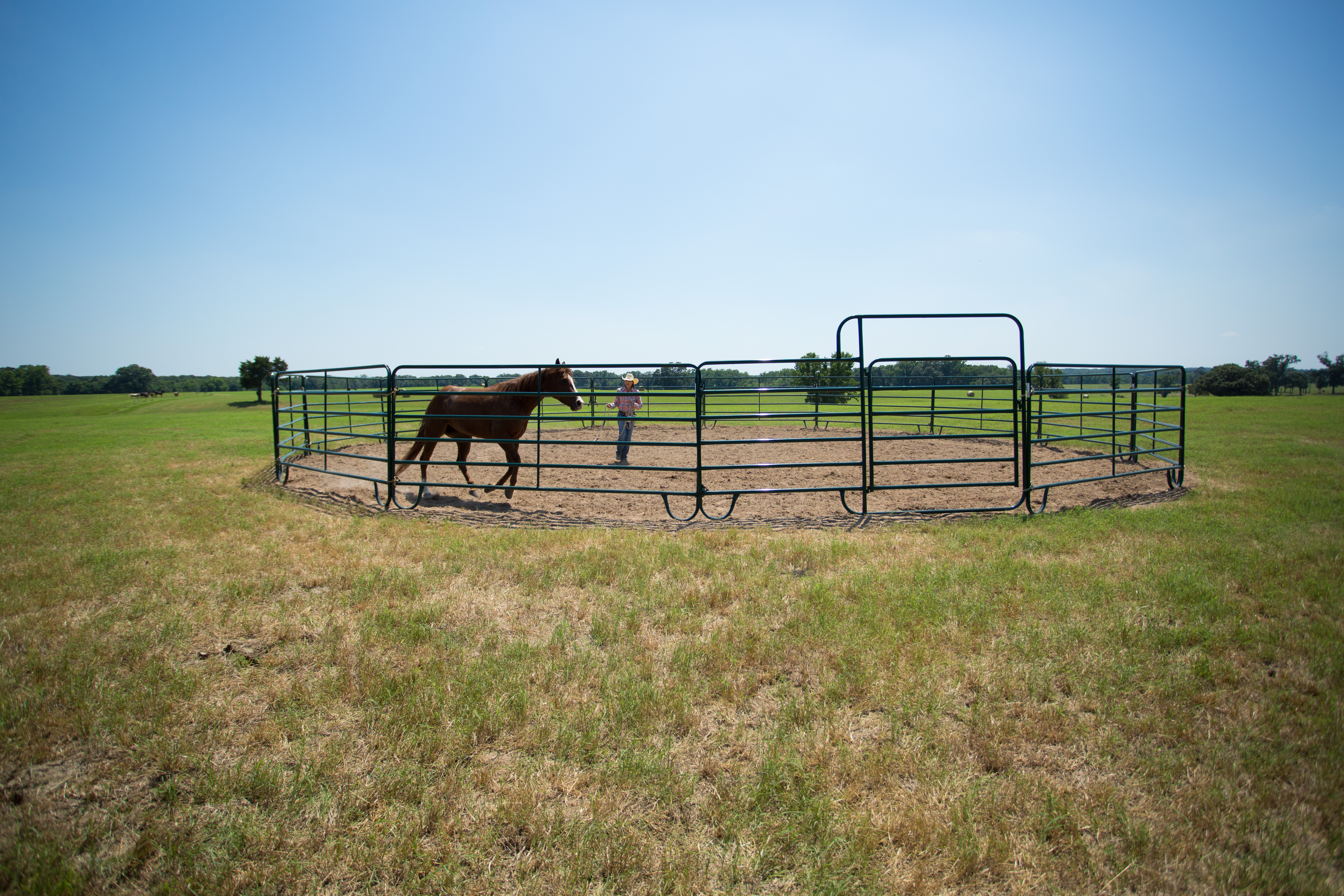 Economy Round Pen RP50 RWT 09.jpg
